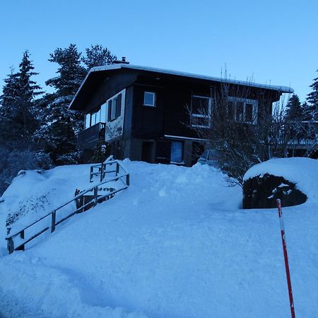 Gite Les Essis Gérardmer Extérieur photo
